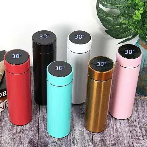 Temperature Display Vacuum Insulated Water Bottle Thermos